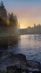 Preview wallpaper river, forest, trees, sunrise, fog, nature