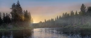 Preview wallpaper river, forest, trees, sunrise, fog, nature