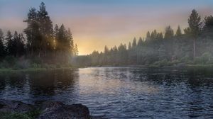 Preview wallpaper river, forest, trees, sunrise, fog, nature