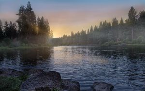 Preview wallpaper river, forest, trees, sunrise, fog, nature