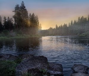 Preview wallpaper river, forest, trees, sunrise, fog, nature