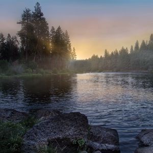 Preview wallpaper river, forest, trees, sunrise, fog, nature