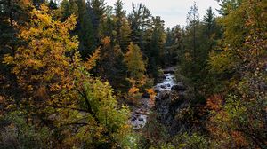 Preview wallpaper river, forest, trees, bushes, autumn, nature