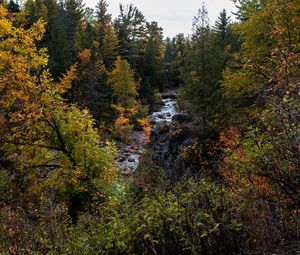 Preview wallpaper river, forest, trees, bushes, autumn, nature