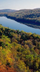 Preview wallpaper river, forest, trees, view from above