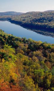 Preview wallpaper river, forest, trees, view from above