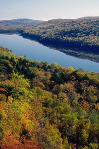 Preview wallpaper river, forest, trees, view from above