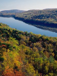 Preview wallpaper river, forest, trees, view from above