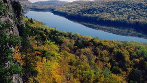 Preview wallpaper river, forest, trees, view from above