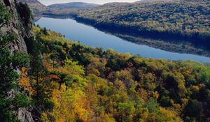 Preview wallpaper river, forest, trees, view from above