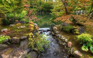 Preview wallpaper river, garden, pond, stones, threshold, vegetation, moss, from above