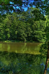 Preview wallpaper river, germany, trees, nature