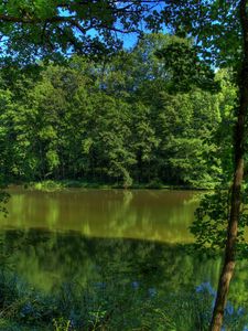 Preview wallpaper river, germany, trees, nature