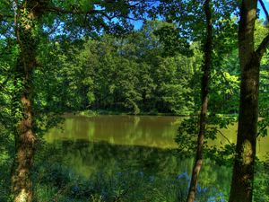 Preview wallpaper river, germany, trees, nature