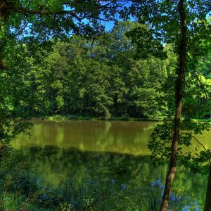 Preview wallpaper river, germany, trees, nature