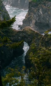 Preview wallpaper river, gorge, rocks, mountains, branches, trees