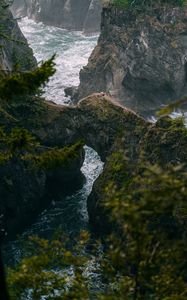 Preview wallpaper river, gorge, rocks, mountains, branches, trees