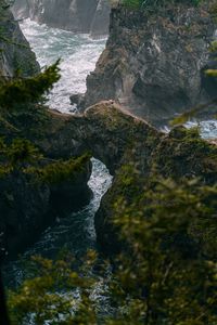 Preview wallpaper river, gorge, rocks, mountains, branches, trees