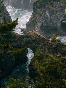 Preview wallpaper river, gorge, rocks, mountains, branches, trees