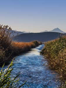 Preview wallpaper river, grass, bushes, hills