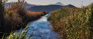 Preview wallpaper river, grass, bushes, hills