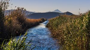 Preview wallpaper river, grass, bushes, hills