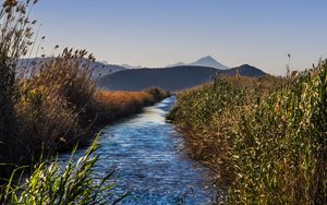 Preview wallpaper river, grass, bushes, hills