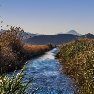 Preview wallpaper river, grass, bushes, hills