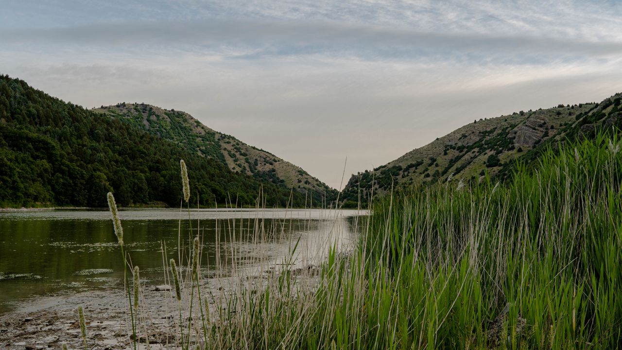 Wallpaper river, grass, hills, trees, sky