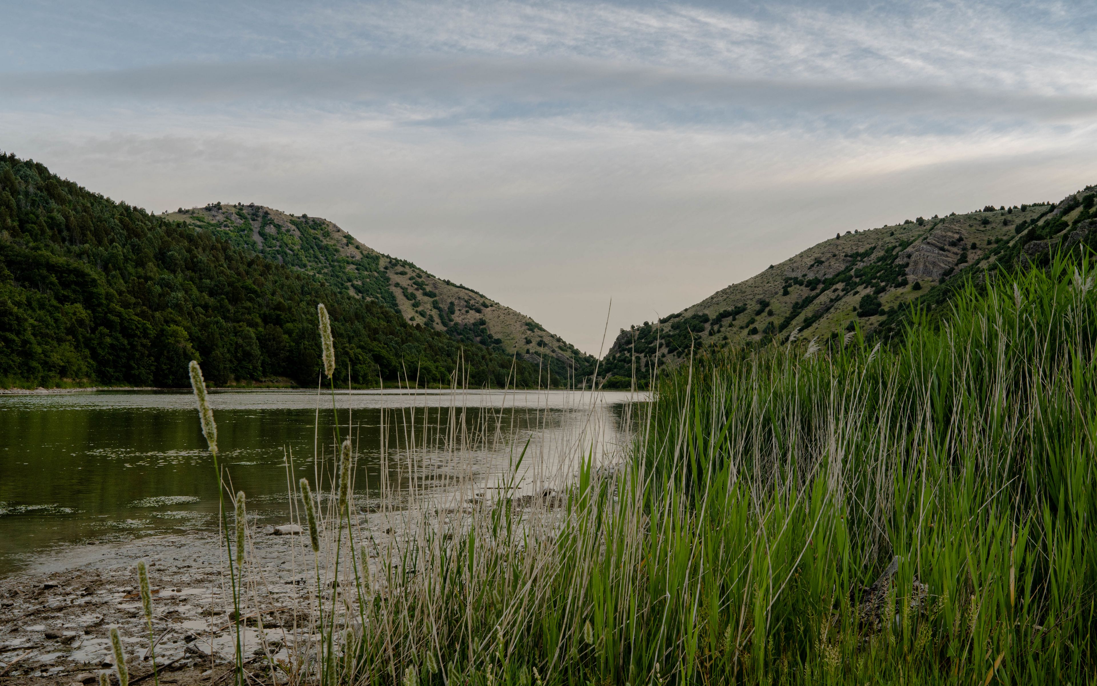 Download Wallpaper 3840x2400 River Grass Hills Trees Sky 4k Ultra 