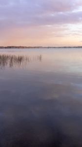 Preview wallpaper river, grass, landscape, nature, sky