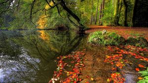 Preview wallpaper river, grass, leaves, trees