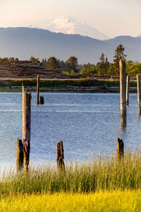 Preview wallpaper river, grass, logs, mountain