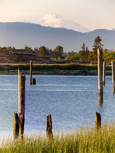 Preview wallpaper river, grass, logs, mountain