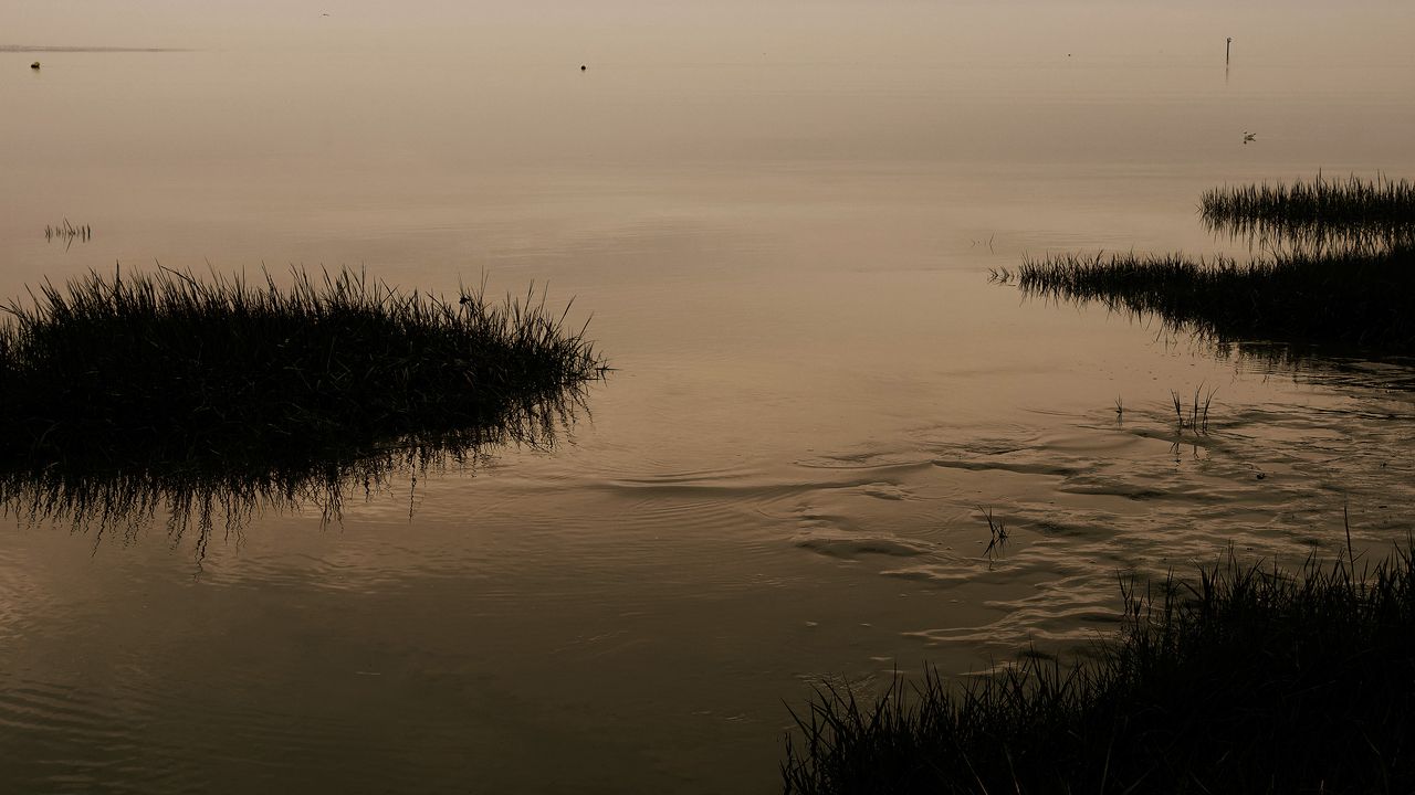 Wallpaper river, grass, nature, evening