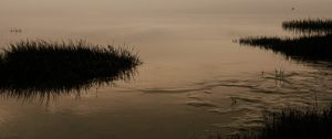 Preview wallpaper river, grass, nature, evening