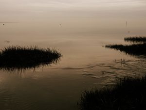 Preview wallpaper river, grass, nature, evening