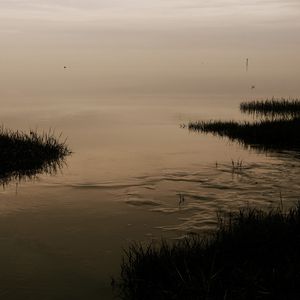 Preview wallpaper river, grass, nature, evening