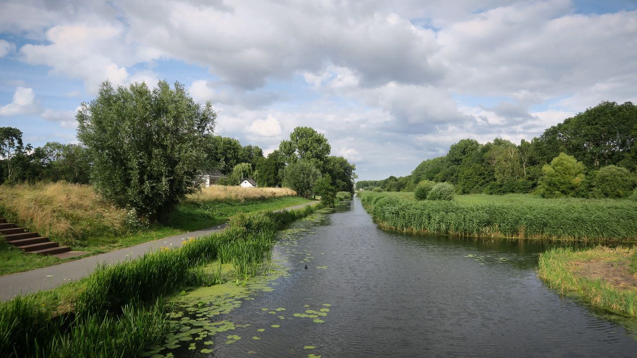 Wallpaper river, grass, park, trees, netherlands