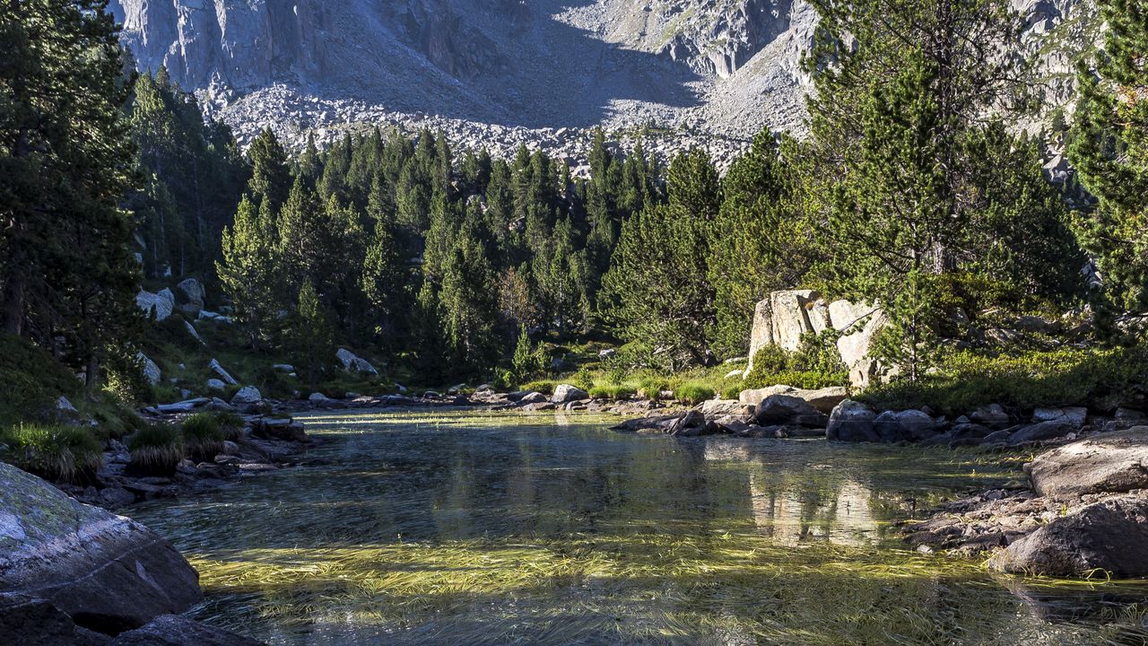 Wallpaper river, grass, stones, mountains, trees