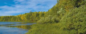 Preview wallpaper river, grass, summer, trees