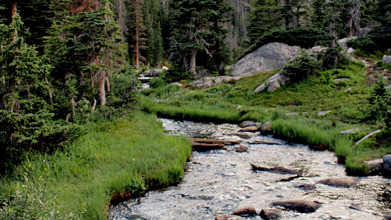 Wallpaper river, grass, trees, forest, rocks