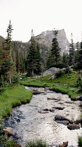 Preview wallpaper river, grass, trees, forest, rocks