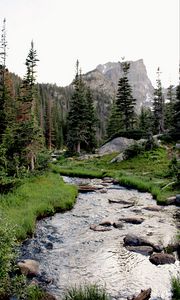 Preview wallpaper river, grass, trees, forest, rocks