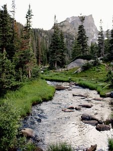 Preview wallpaper river, grass, trees, forest, rocks