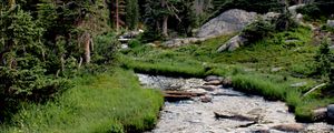 Preview wallpaper river, grass, trees, forest, rocks