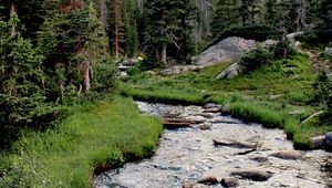 Preview wallpaper river, grass, trees, forest, rocks