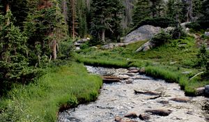 Preview wallpaper river, grass, trees, forest, rocks