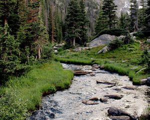 Preview wallpaper river, grass, trees, forest, rocks