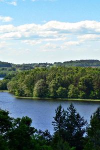 Preview wallpaper river, grass, trees, summer, beautiful